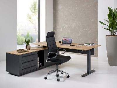 Directiebureau zit-sta OR-Madrid